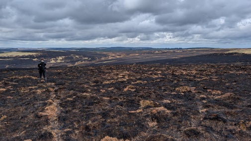 The impact of wildfire on Abergwesyn Common